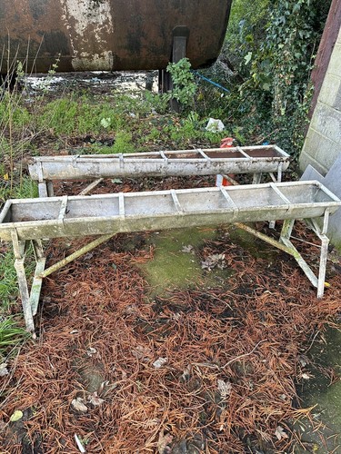 Pig trough - pig,