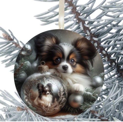 Papillon dog hanging - papillon,