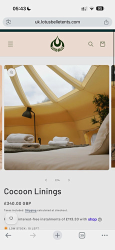 Lotus belle stargazer cocoon - belle,