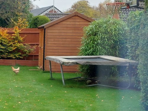 Super tramp trampoline - super,