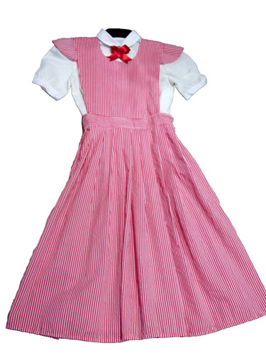 Dorothy wizard costume - dorothy,
