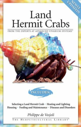 Land hermit crabs - crabs, philippe