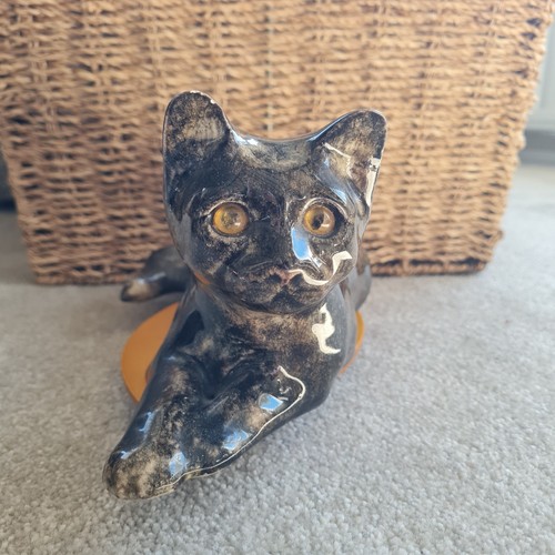 Winstanley cat size black - size,
