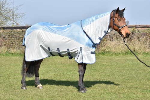 All one horse fly - in,