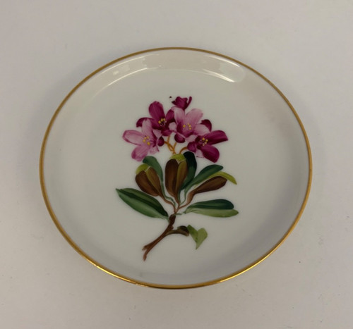 Rosenthal hand painted - rosenthal,