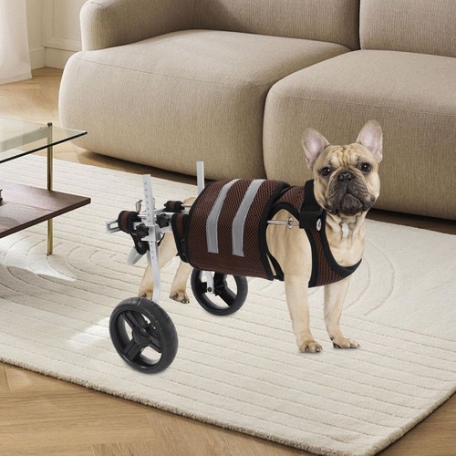 Wheel rehabilitation walking - rehabilitation,