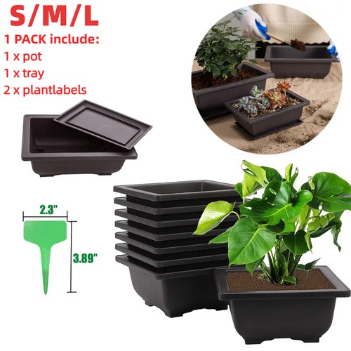 Plastic bonsai training - plastic,