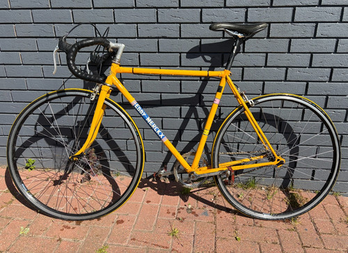 Eddy merckx vintage - eddy,