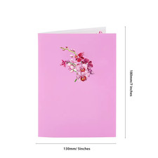 Cymbidium Orchid Pop Up