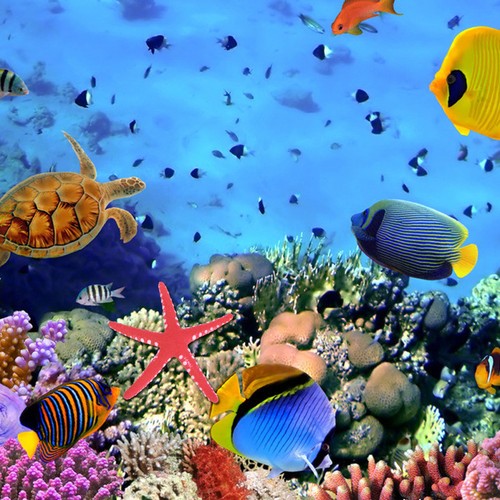 Artificial red sea - artificial,