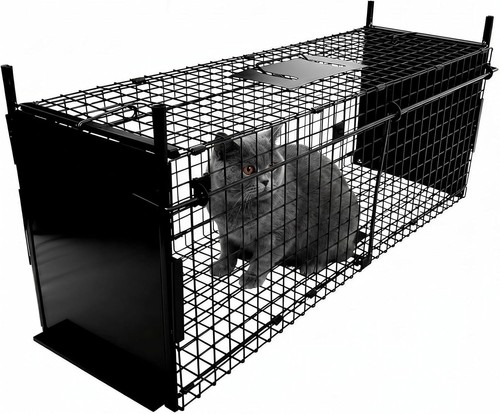 Humane animal trap - animal,