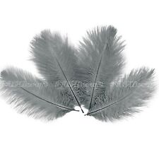 5/10pcs Natural Ostrich Feather  6" 8" 10" 12" 14" Fluffy Costume Party Craft