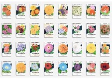 Un-used 1940s Vintage American