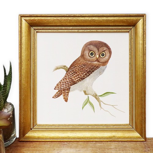 Ceramic wall tile picture - wall,