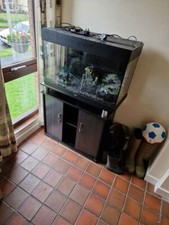 100 litre hugo kamishi fish tank