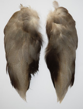 Complete set of Bronze Mallard