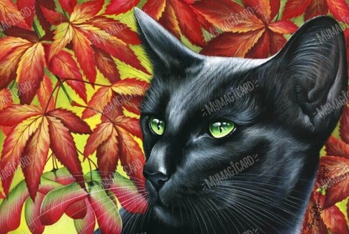 Virginia creeper russian - creeper,