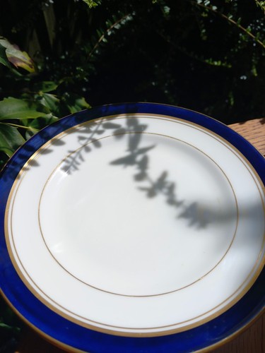 Royal worcester howard cobalt - worcester,
