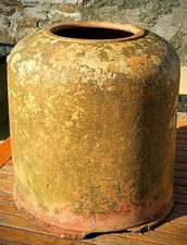 Antique Terracotta Rhubarb Forcer