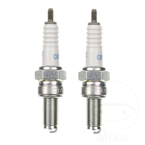 Ngk spark plug - 4509, 2