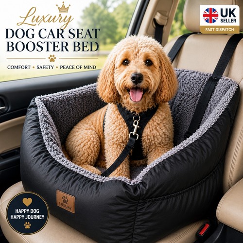 Luxury medium dog car - luxury,