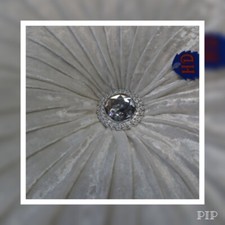 New Crushed Velvet Round