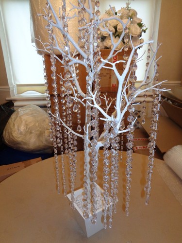 White manzanita tree - 90,