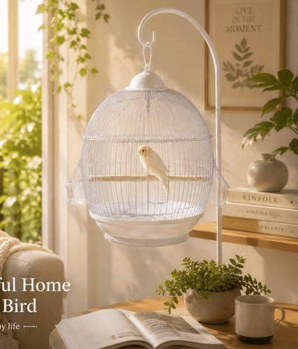 White decorative round - decorative,