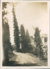 India 1932 Murree & Galis