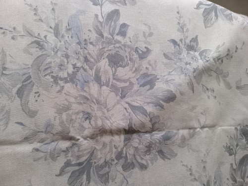 Sanderson beautiful remnant - sanderson,
