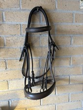 Beautiful Chestnut Brown