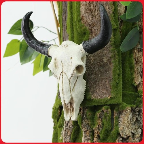 Bull horns wall head - horns,