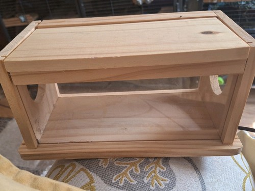 Hamster gerbil degu hide with - gerbil,