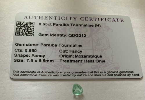 65ct paraiba tourmaline - paraiba,