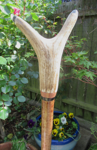 Hand crafted hazel stagshorn - crafted,