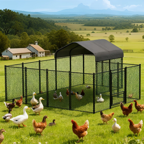 Large semi open chicken coop - semi-open,