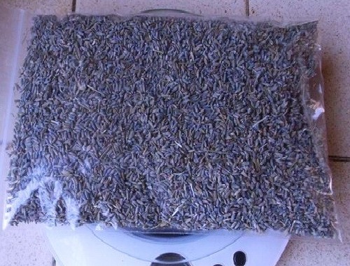 Lavender dried flowers - ,