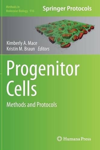 Progenitor cells - progenitor,