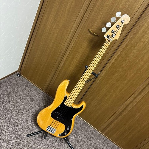 Fernandes fretless power bass - power,