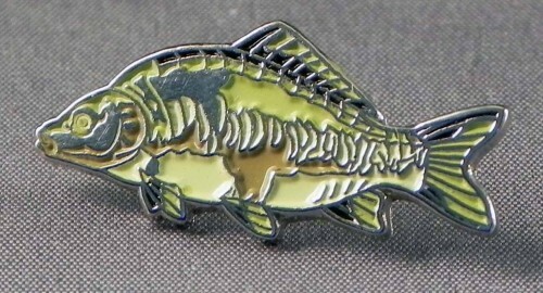Mirror carp fish - mirror, pin