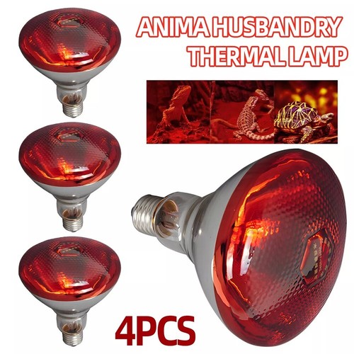 Infra red heat bulb lamp - 4x,