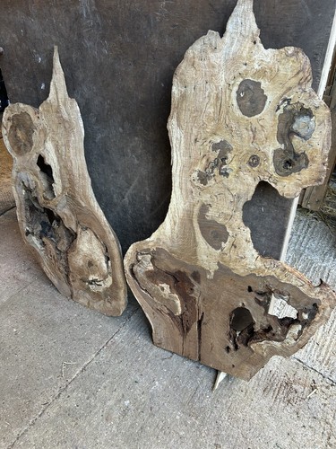 Unique roughsawn oak burl - unique,