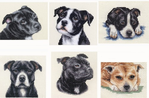 Staffordshire bull terrier - staffordshire,