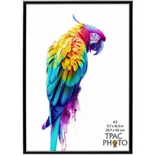 A3 Black Backloader Picture