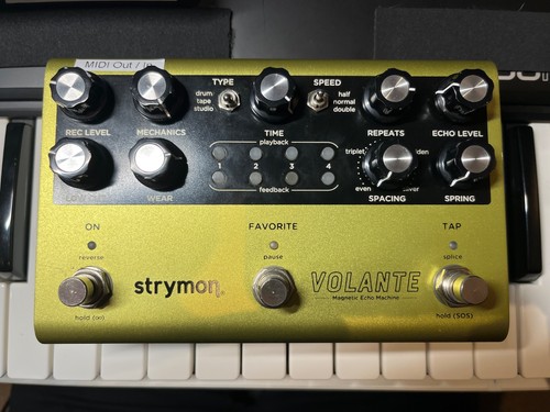 Strymon volante stereo tape - -,