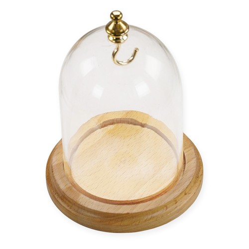 Pocket watch display dome - pocket,