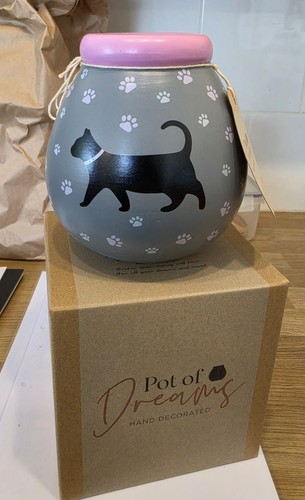 Pot dreams cat - pot,