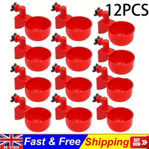 12pcs automatic chicken - 12pcs, water
