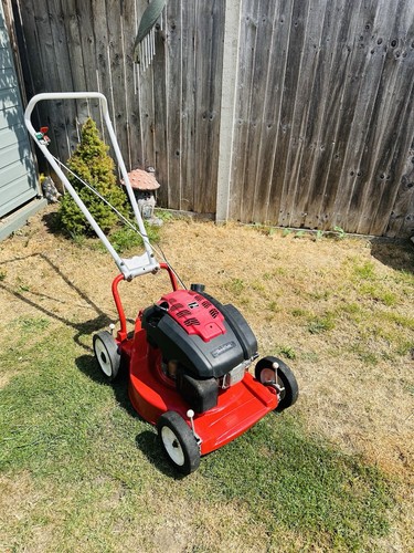 Mountfield petrol lawnmower - petrol,