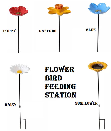 Pack flower bird feeding - flower,
